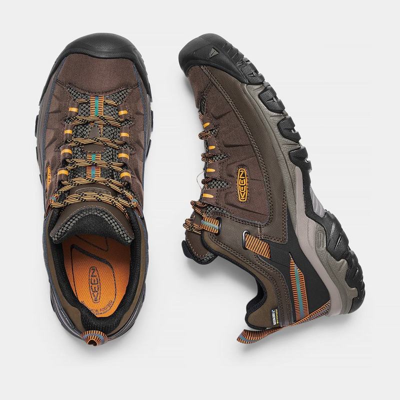 Keen 靴 | キーンターギーExpウォータープルーフ 登山 靴 メンズ ブラウン | 163950-XDB